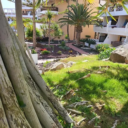Golden Paradise, Excelentes Vistas, Piscina Climatizada, Wifi, Albatros Park, Golf Del Sur San Miguel de Abona